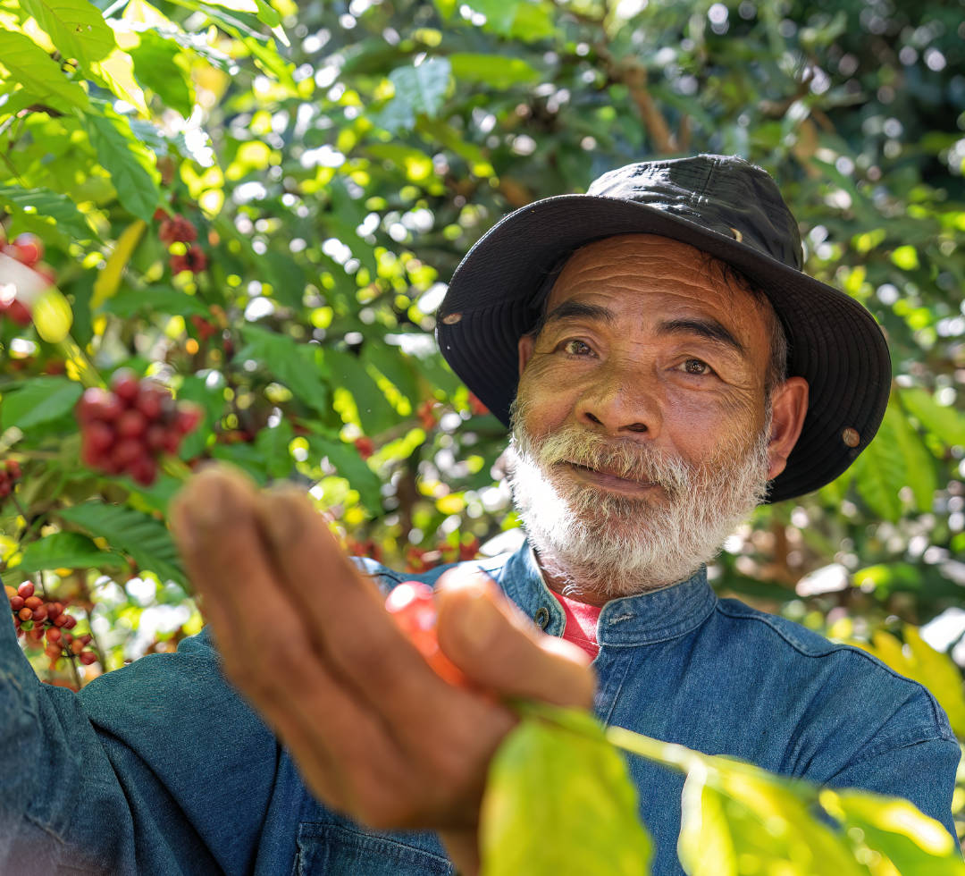 The Coffee That Endures: How Small Colombian Growers Are Innovating to Face Climate Change